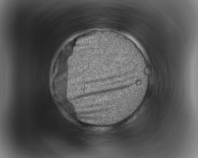 X0000087620861200705252001