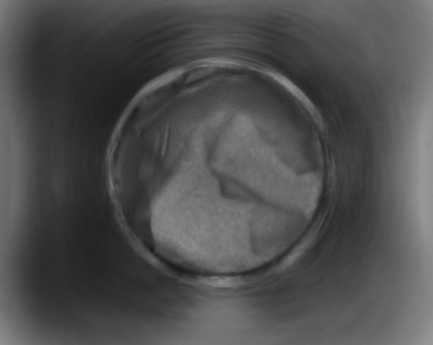 X0000087620862200705252001