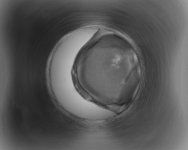 X0000087620864200705252001
