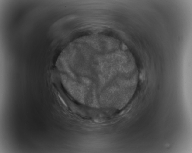 X0000087620867200705252000