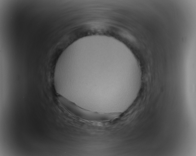 X0000087620869200705252000