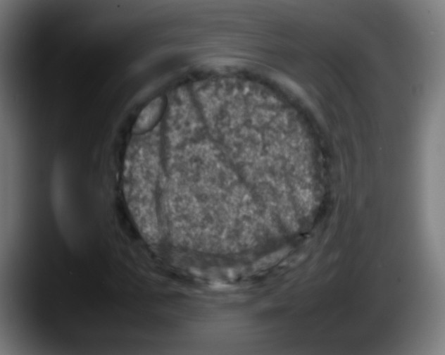 X0000087620871200705252000