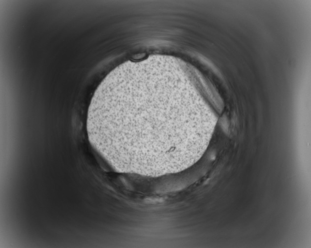 X0000087620872200705252000