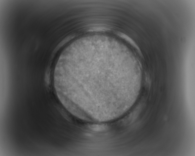 X0000087620874200705252000