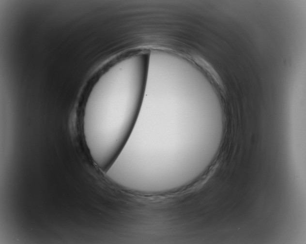 X0000087620876200705252000
