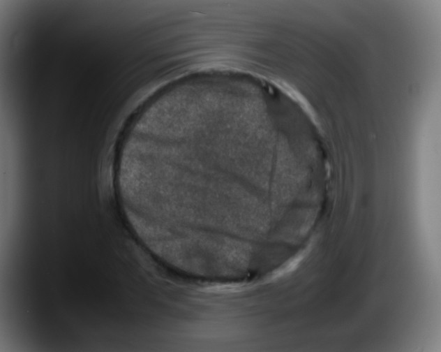 X0000087620877200705252000