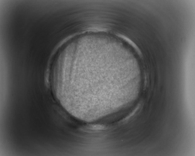 X0000087620878200705252000