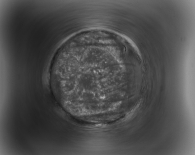 X0000087620879200705252000