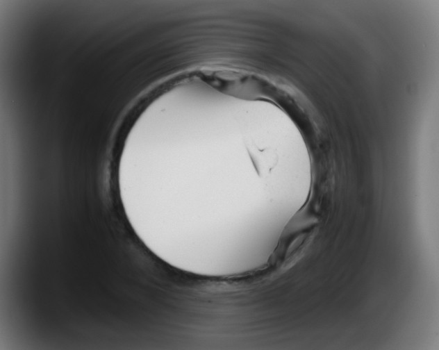 X0000087620880200705252000