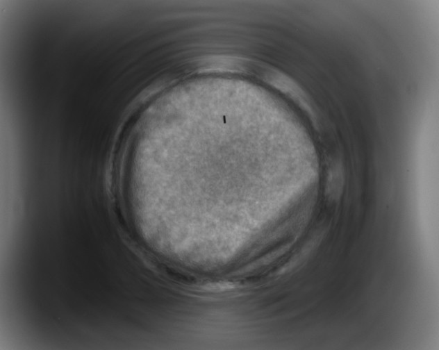 X0000087620882200705252000