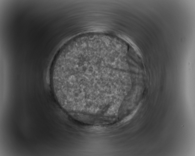 X0000087620883200705252000