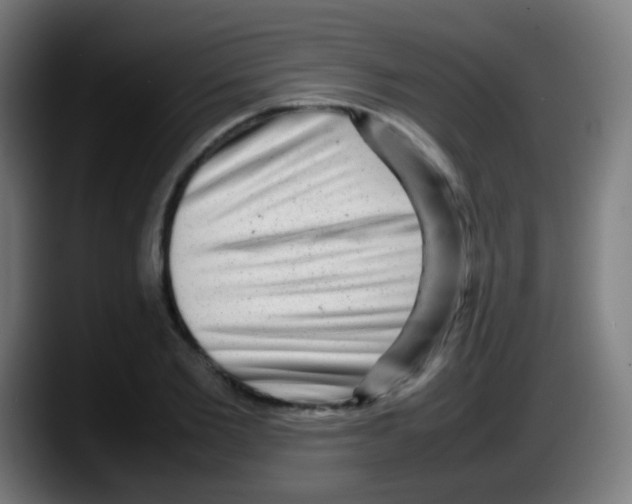 X0000087620885200705252000
