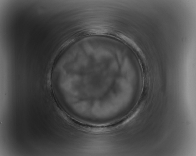 X0000087620889200705252000