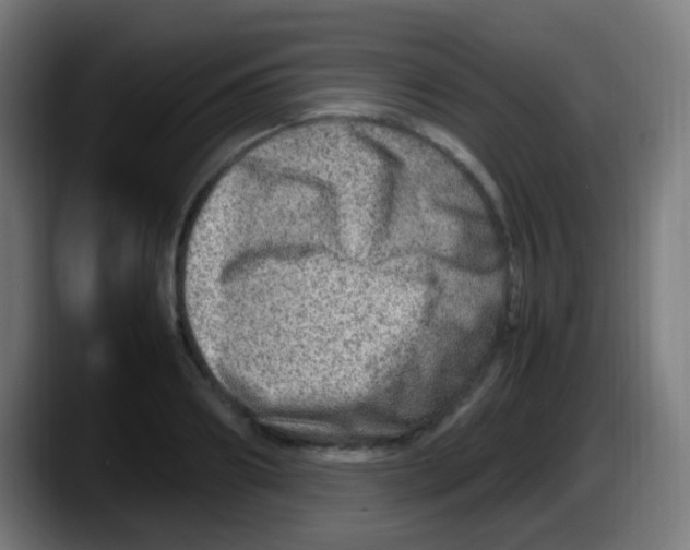 X0000087620890200705252000