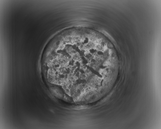 X0000087620891200705252000