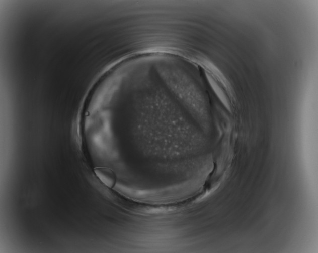 X0000087620892200705252000