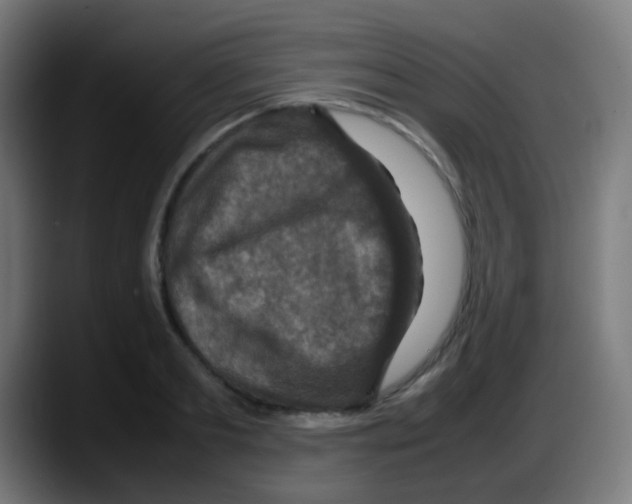 X0000087620893200705252000