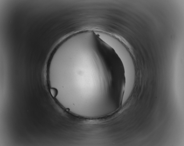 X0000087620894200705252000