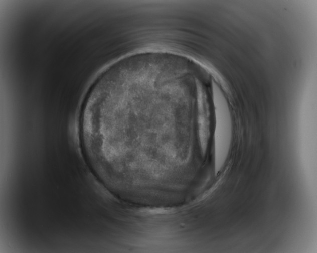 X0000087620896200705252000