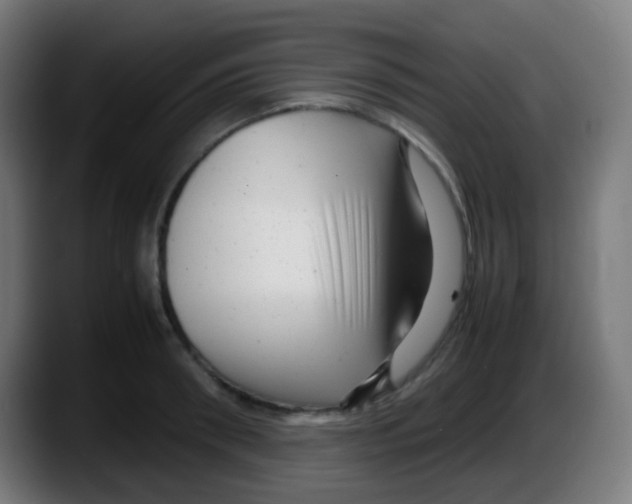 X0000087620898200705252000