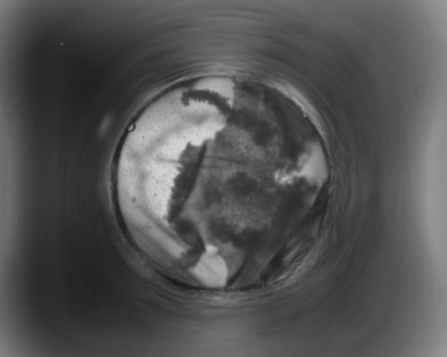 X0000087620899200705252000