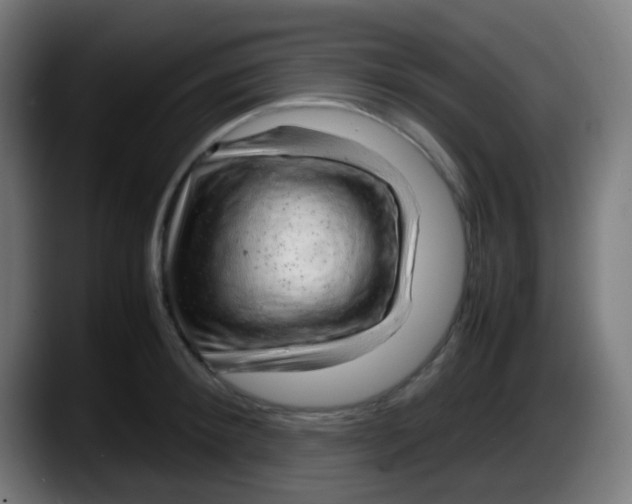X0000087620900200705252000