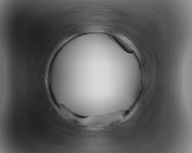 X0000087620901200705252000