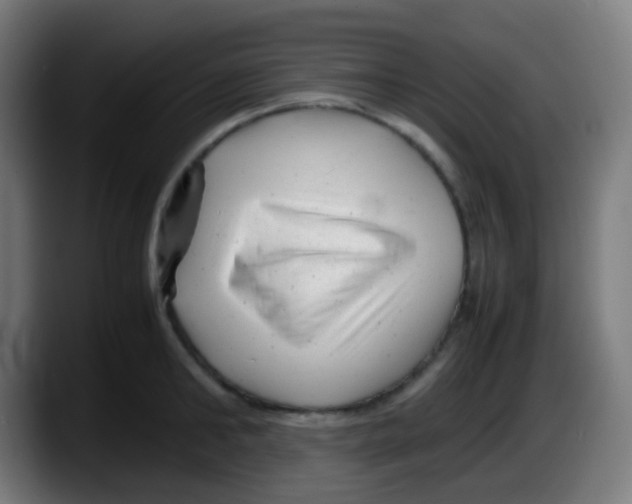 X0000087620902200705252000