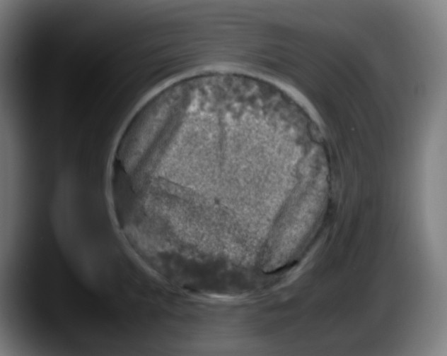 X0000087620903200705252000