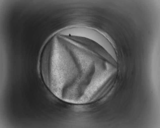 X0000087620904200705252000