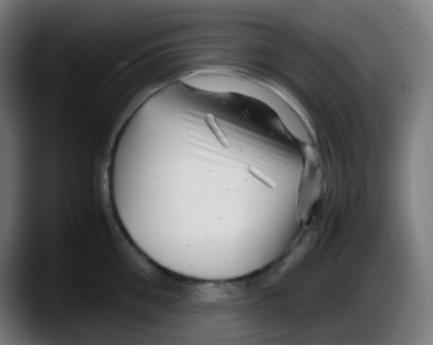 X0000087620906200705252000