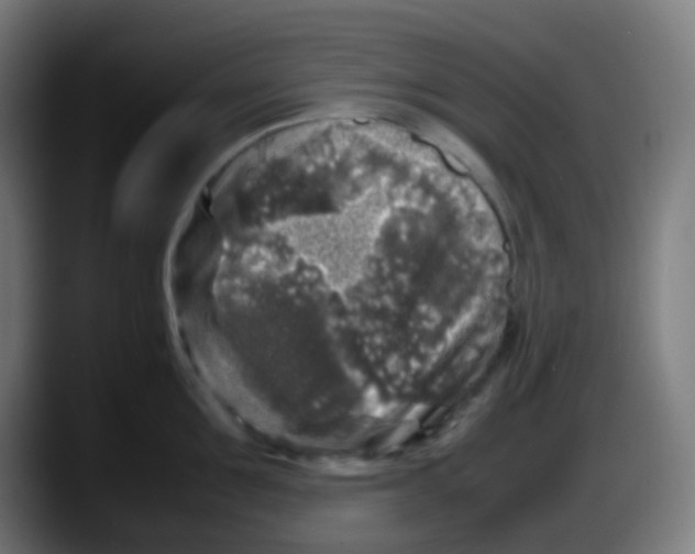 X0000087620907200705252000