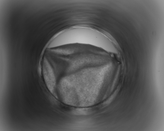 X0000087620908200705252000