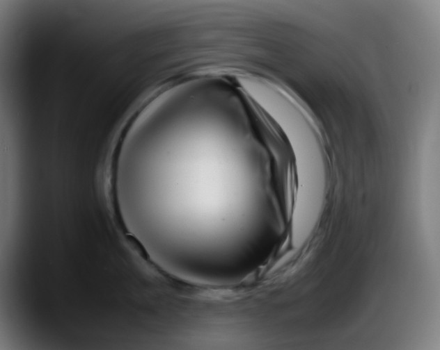 X0000087620909200705252000