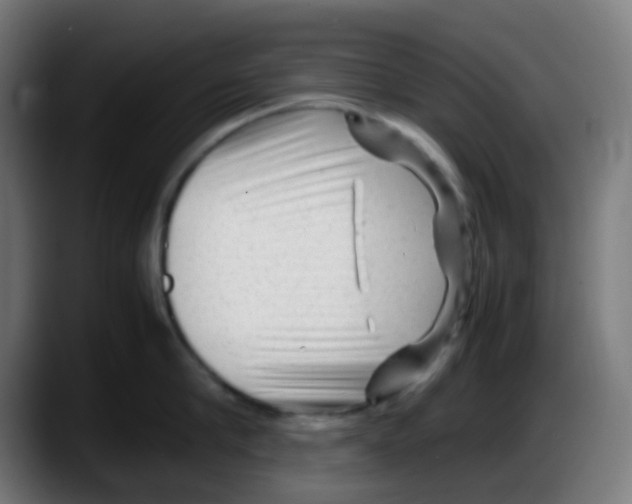 X0000087620910200705252000
