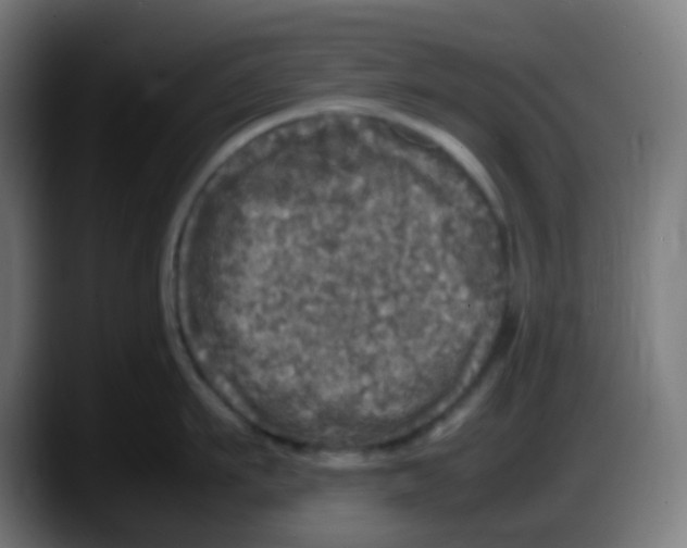 X0000087620911200705252000