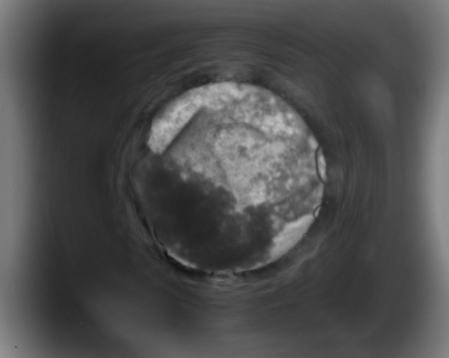 X0000087620913200705251959