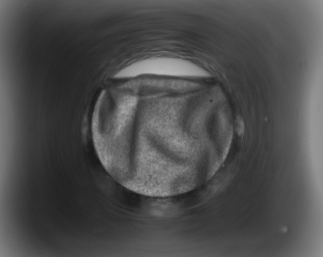 X0000087620915200705251959