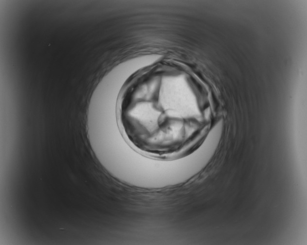 X0000087620916200705251959