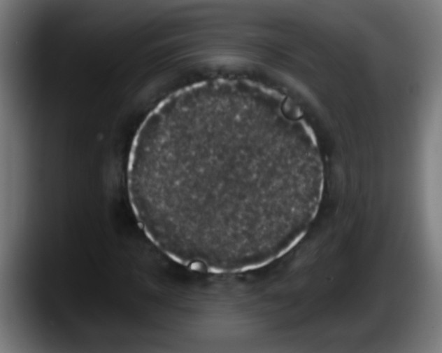 X0000087620918200705251959