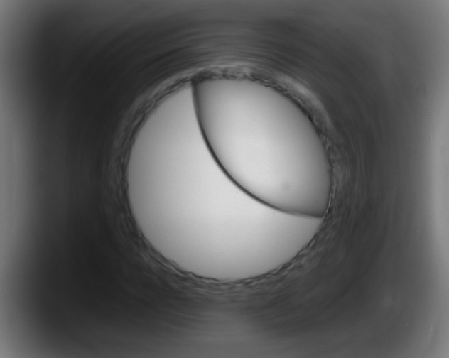 X0000087620920200705251959
