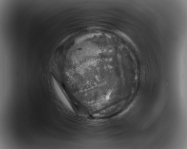 X0000087620921200705251959