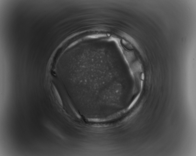 X0000087620923200705251959