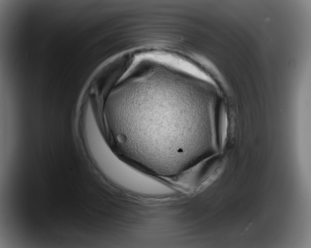X0000087620924200705251959