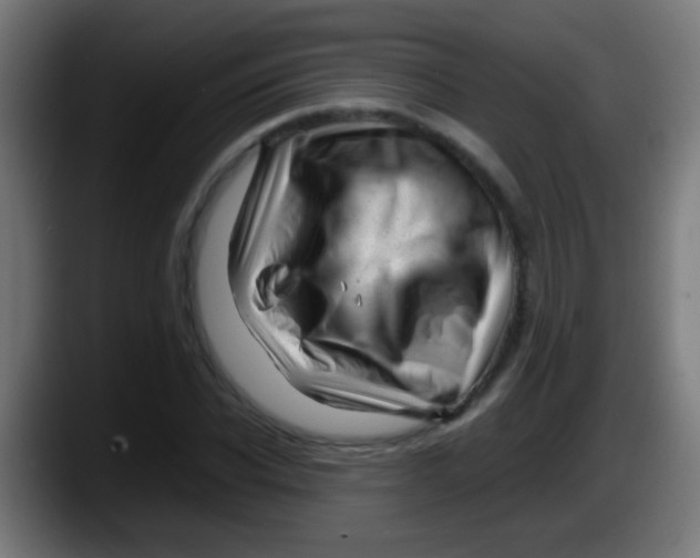 X0000087620926200705251959