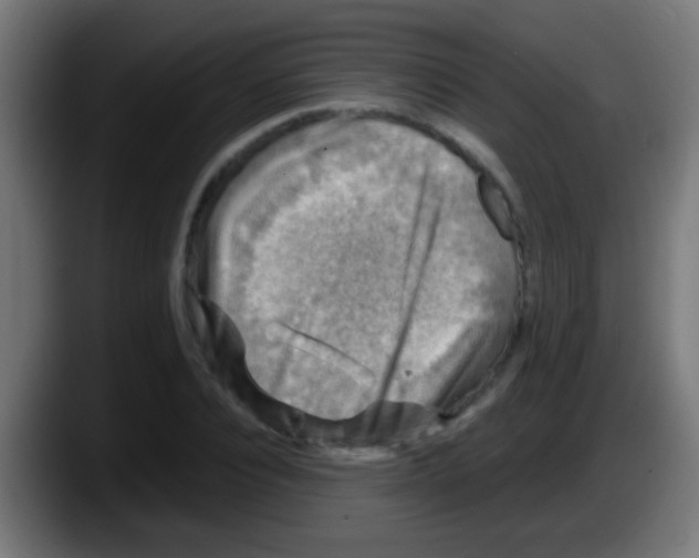 X0000087620928200705251959