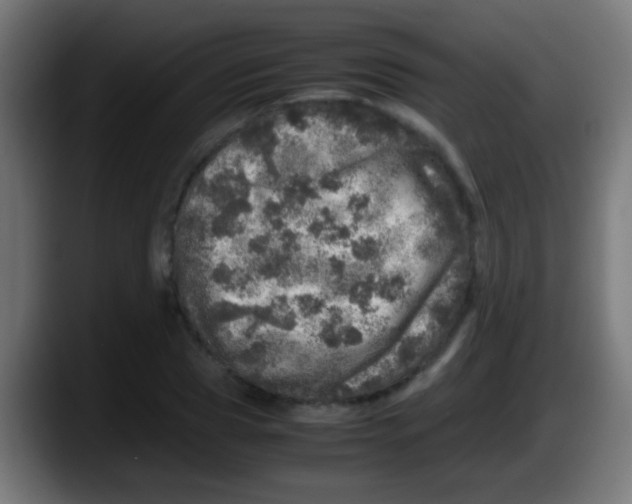 X0000087620929200705251959