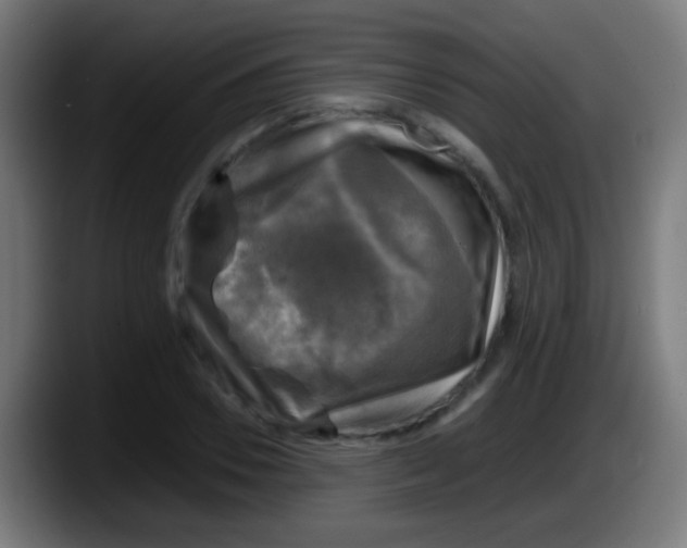 X0000087620930200705251959