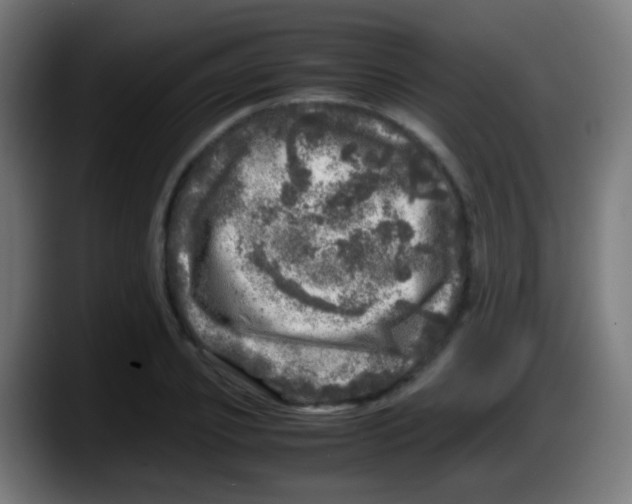 X0000087620933200705251959