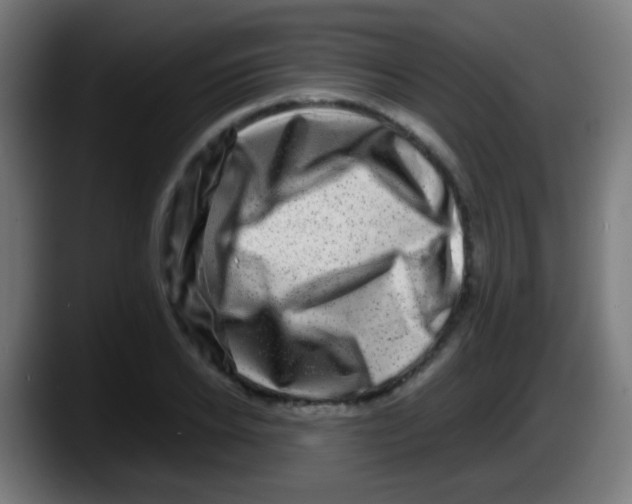 X0000087620934200705251959